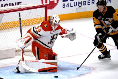 article image - Ducks Penguins Hockey